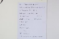 三葉五加、三加皮藏品圖，第2張