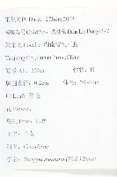 無瓣蔊菜藏品圖，第2張