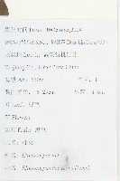 杜英藏品圖，第2張