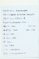 飛蛾藤藏品圖，第2張