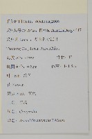 珍珠蒿、奇蒿藏品圖，第2張