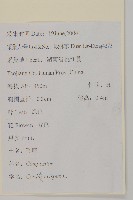 飛廉藏品圖，第2張