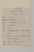 杓兒菜藏品圖，第2張