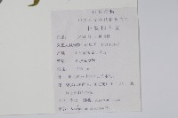 牛膝藏品圖，第2張