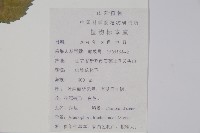 薺苨藏品圖，第2張