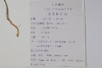 雀瓢藏品圖，第2張