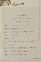 僧蒿藏品圖，第2張