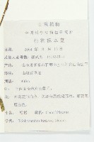 括樓藏品圖，第2張