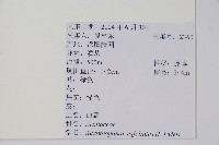 三葉五加、三加皮藏品圖，第2張