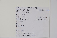 刺莧藏品圖，第2張