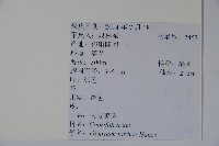 南方莢迷藏品圖，第2張