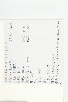 華杜英藏品圖，第2張