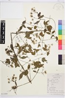 登錄號:S112434藏品圖，第1張