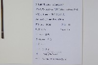 冇骨消藏品圖，第2張