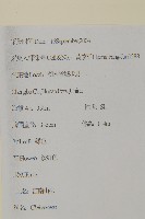 江南山柳藏品圖，第2張