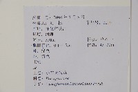 小花倒提壺藏品圖，第2張