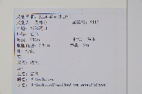 京梨獼猴桃藏品圖，第2張