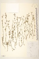 登錄號:S112566藏品圖，第1張