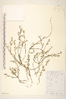 登錄號:S112567藏品圖，第1張