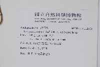 鷗蔓藏品圖，第2張