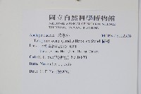 鷗蔓藏品圖，第2張