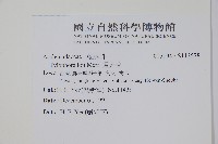 通天蓮藏品圖，第2張