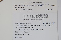 武靴藤藏品圖，第2張