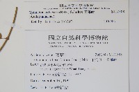 武靴藤藏品圖，第2張