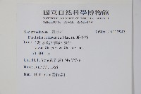 風不動藏品圖，第2張