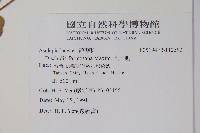 風不動藏品圖，第2張