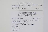 爬森藤藏品圖，第2張