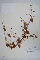 登錄號:S112602藏品圖，第1張