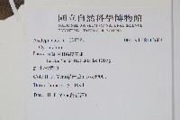 登錄號:S112603藏品圖，第2張