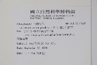 南洋馬蹄花藏品圖，第2張