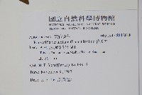 蘿芙木藏品圖，第2張