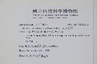蘿芙木藏品圖，第2張