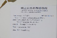 蘿芙木藏品圖，第2張
