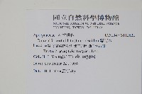 蘿芙木藏品圖，第2張