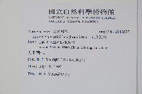 蘿芙木藏品圖，第2張