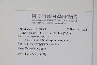 蘿芙木藏品圖，第2張