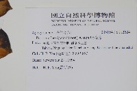 爬森藤藏品圖，第2張