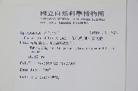 巨花假虎刺、卡利撒藏品圖，第2張