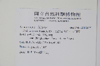 巨花假虎刺、卡利撒藏品圖，第2張