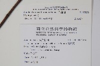 大錦蘭藏品圖，第2張