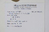 黑板樹藏品圖，第2張