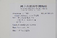 黑板樹藏品圖，第2張