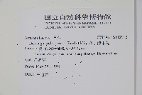 多子漿果莧藏品圖，第2張