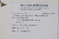 多子漿果莧藏品圖，第2張