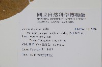 多子漿果莧藏品圖，第2張