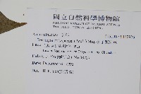 多子漿果莧藏品圖，第2張